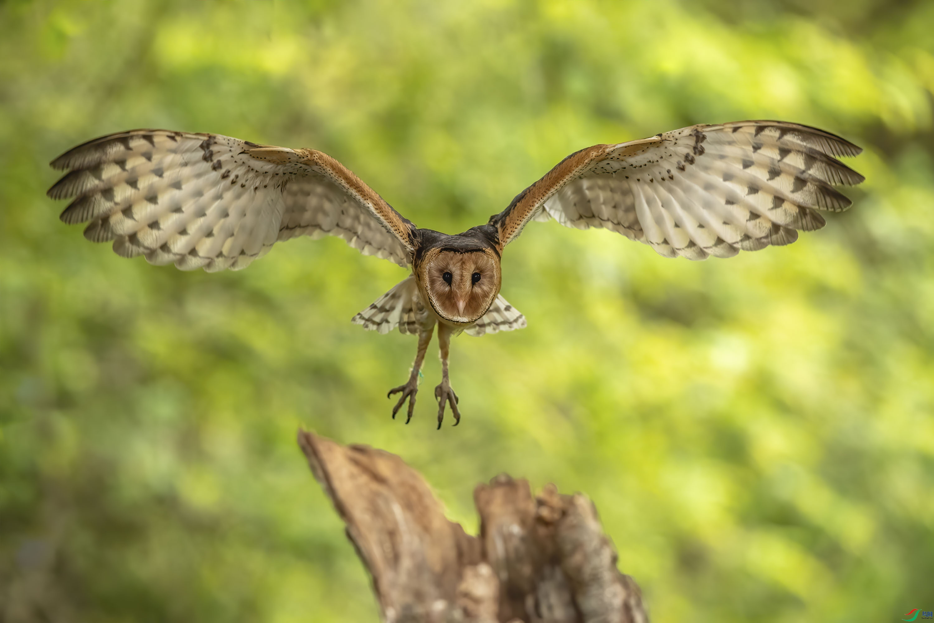 DSC_4565-2x.jpg