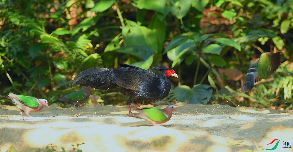DSC_1587_DxOa1.jpg