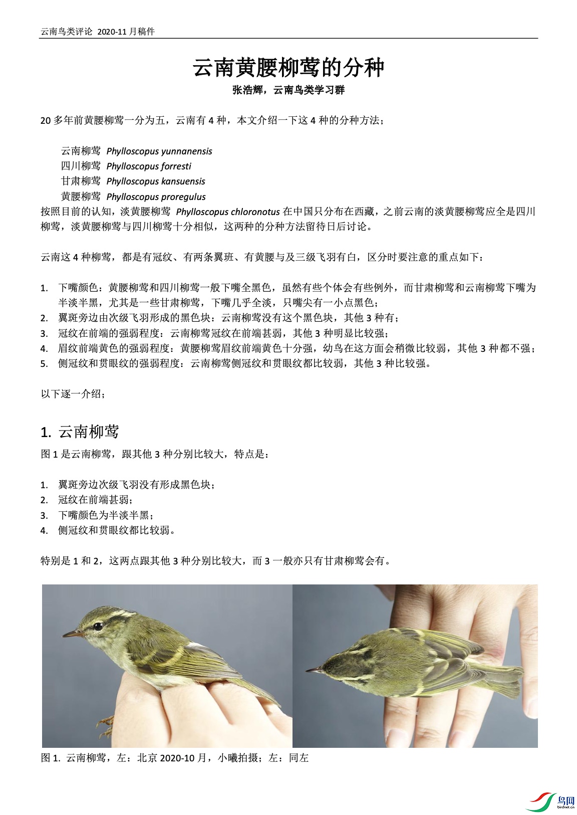 ����2021-05-08 09.19.35.jpg