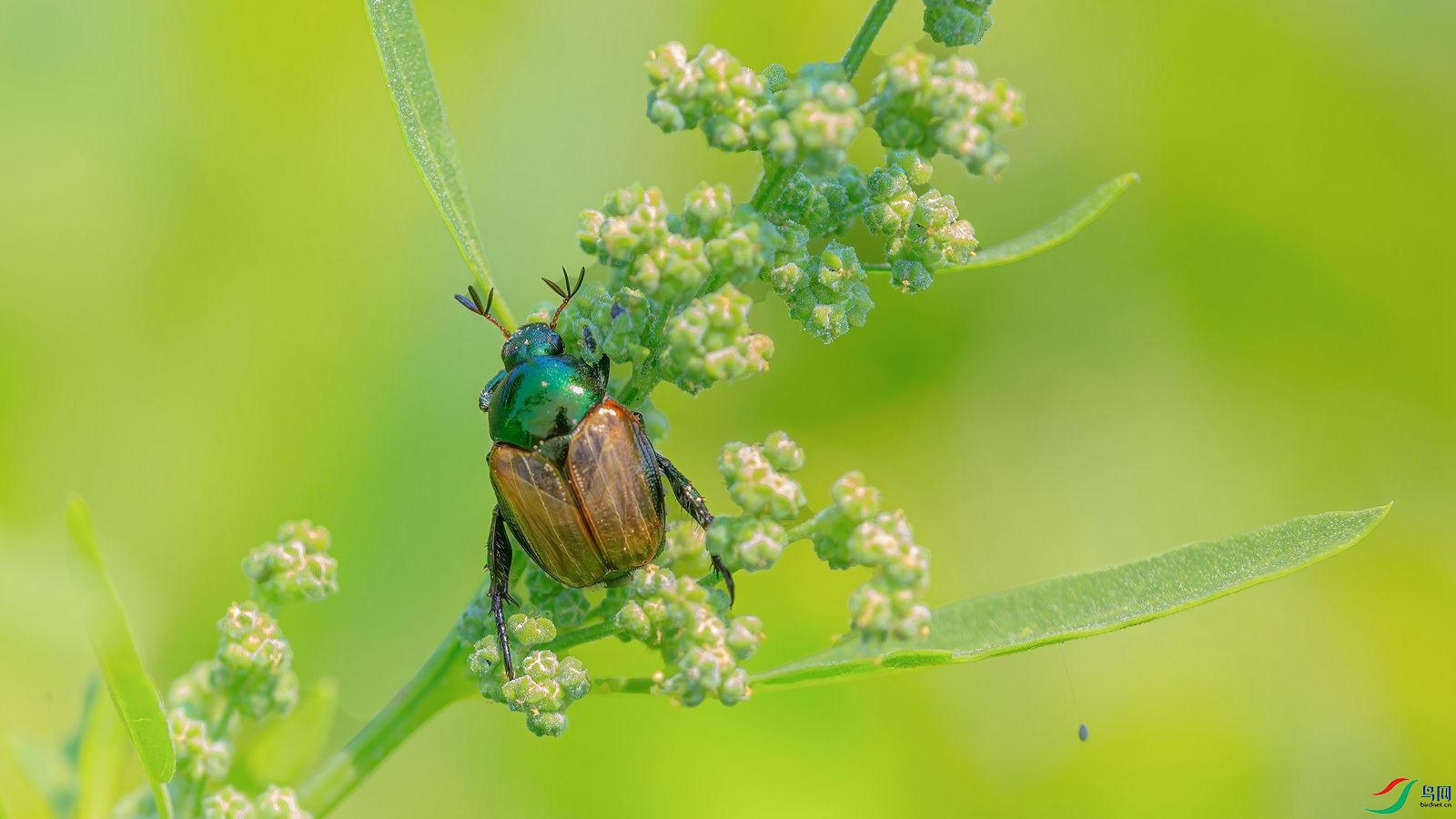 7G9A5043-2_����.jpg