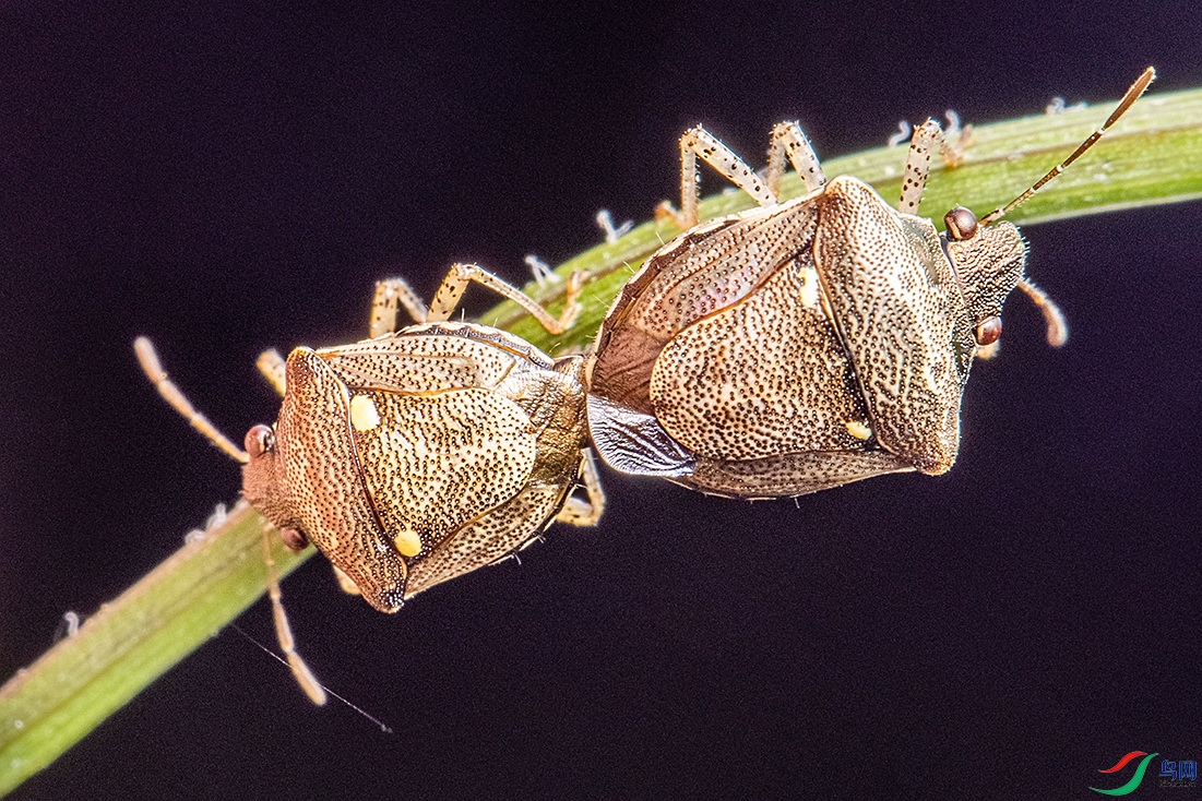 911A6883.jpg