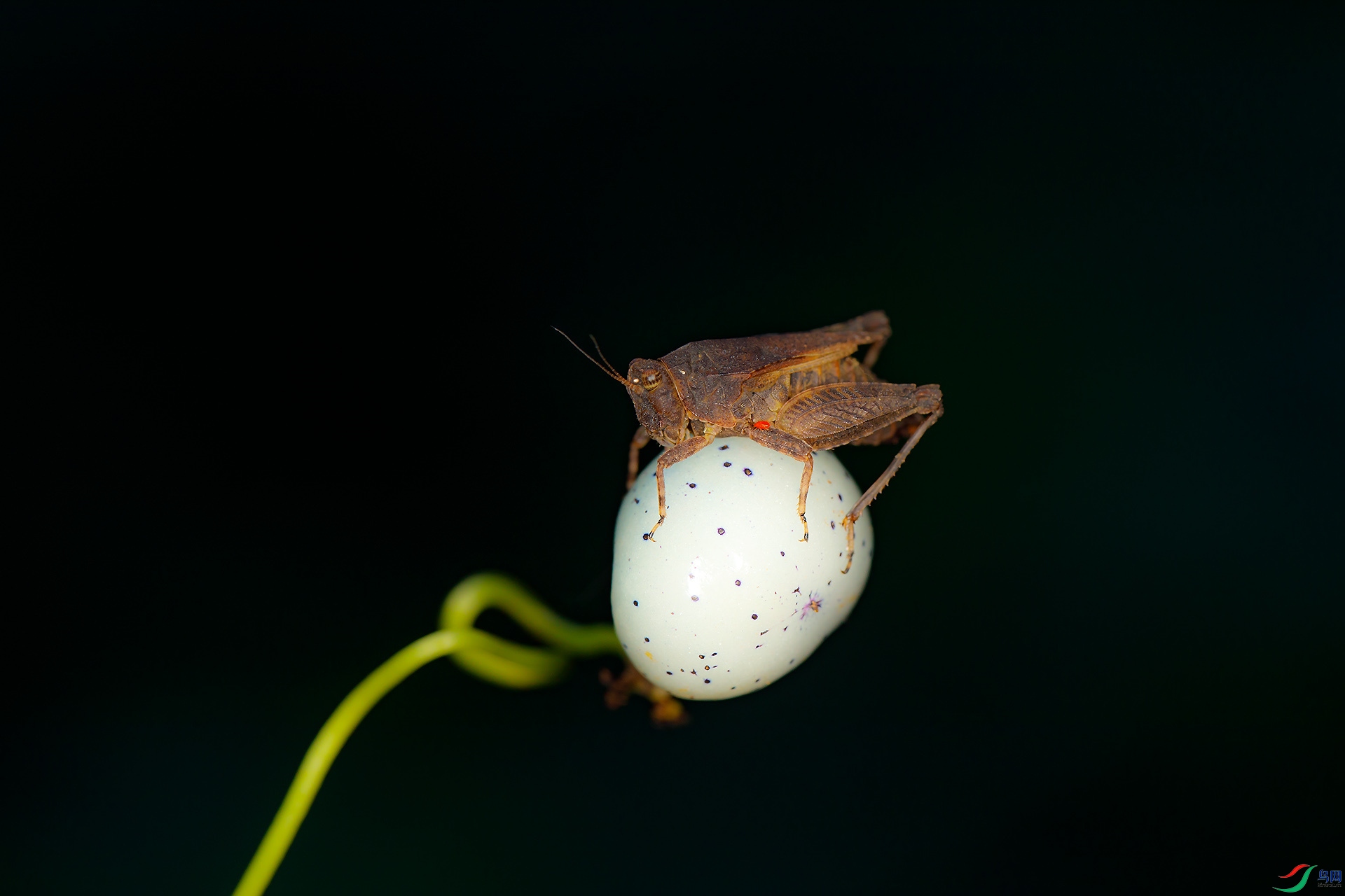 EC6A8246_����.jpg