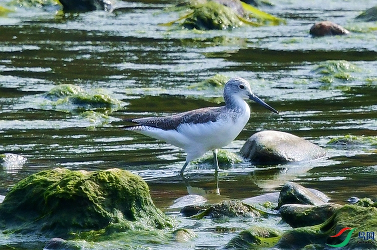 DSC_2771.JPG