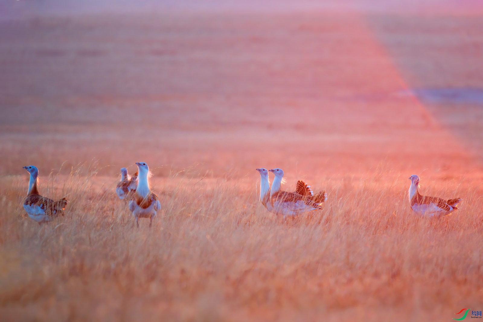 DSC_6773- 1_����.jpg