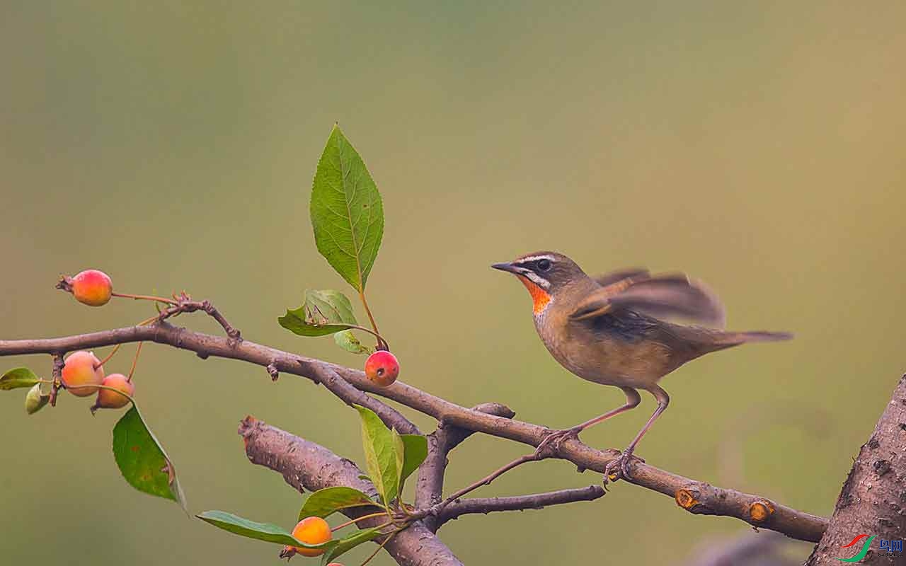 ET2W8611 - ���� (2).jpg