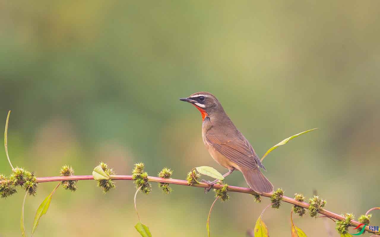 ET2W8652 - ���� (3).jpg