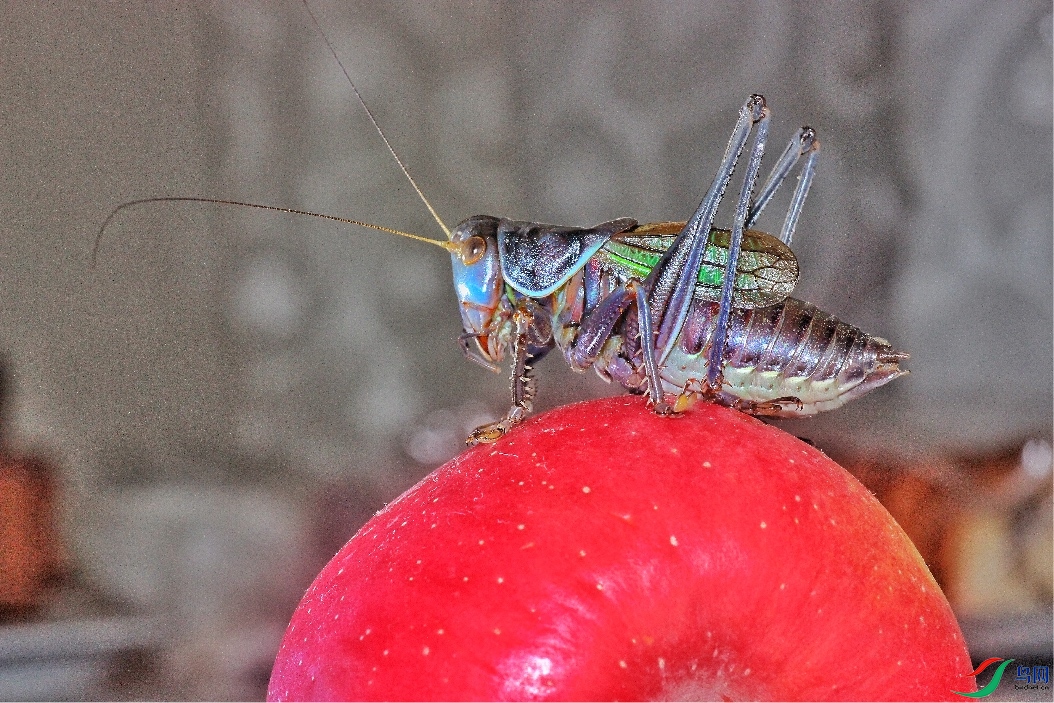DD0728CA-C144-4142-A33B-5691BD1CCC3E.jpeg
