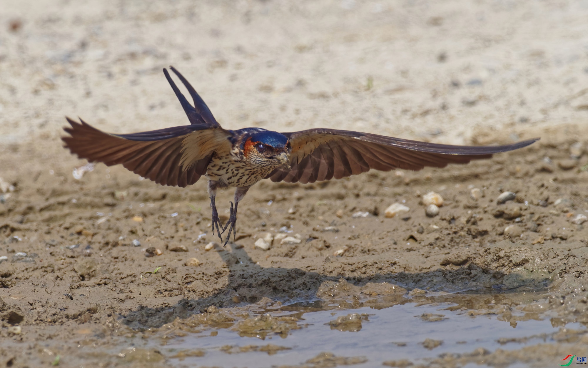 P5080212_DxO-sd2.jpg