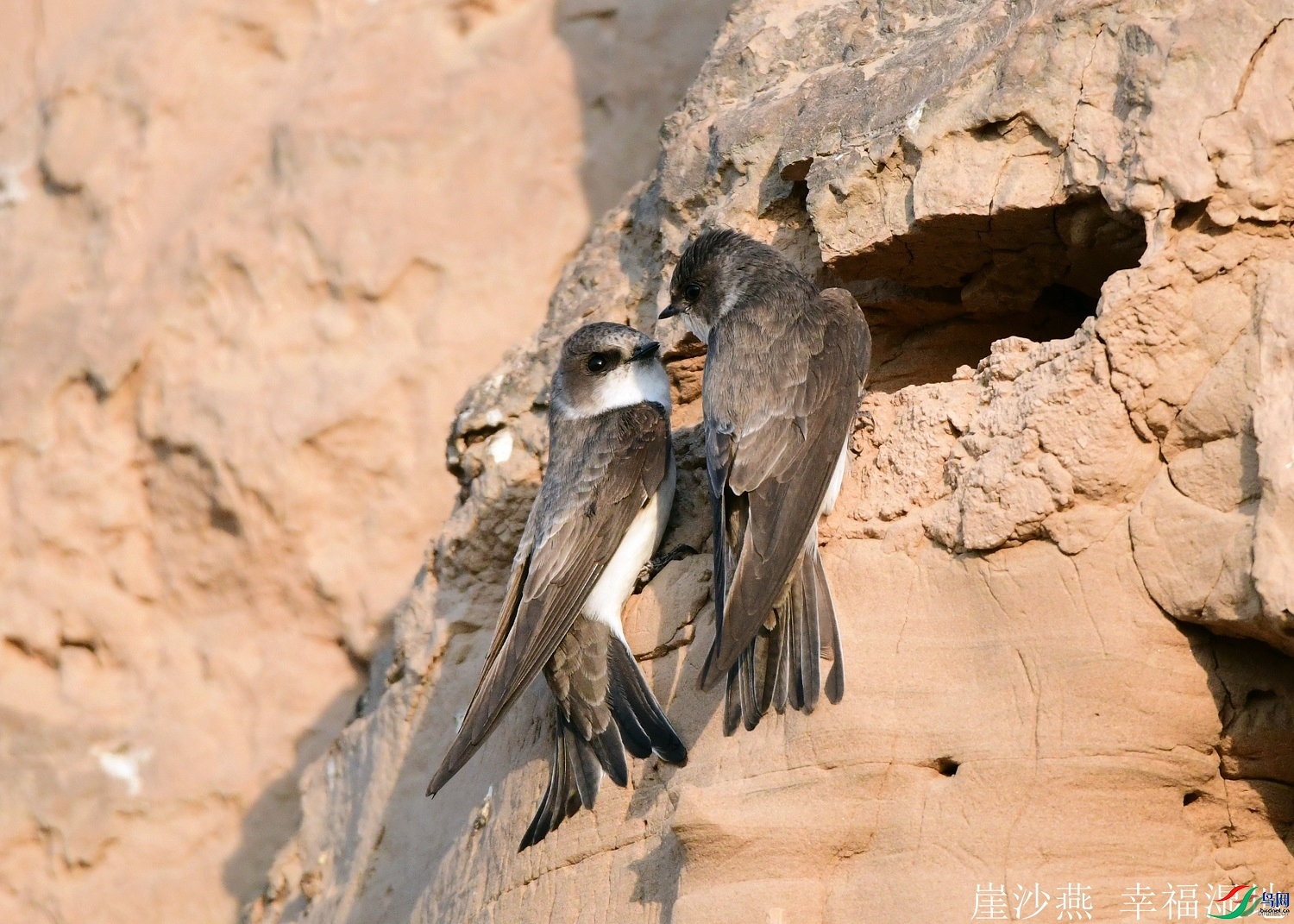 ������  ��ʦ����������ʡ�����и�����0.jpg