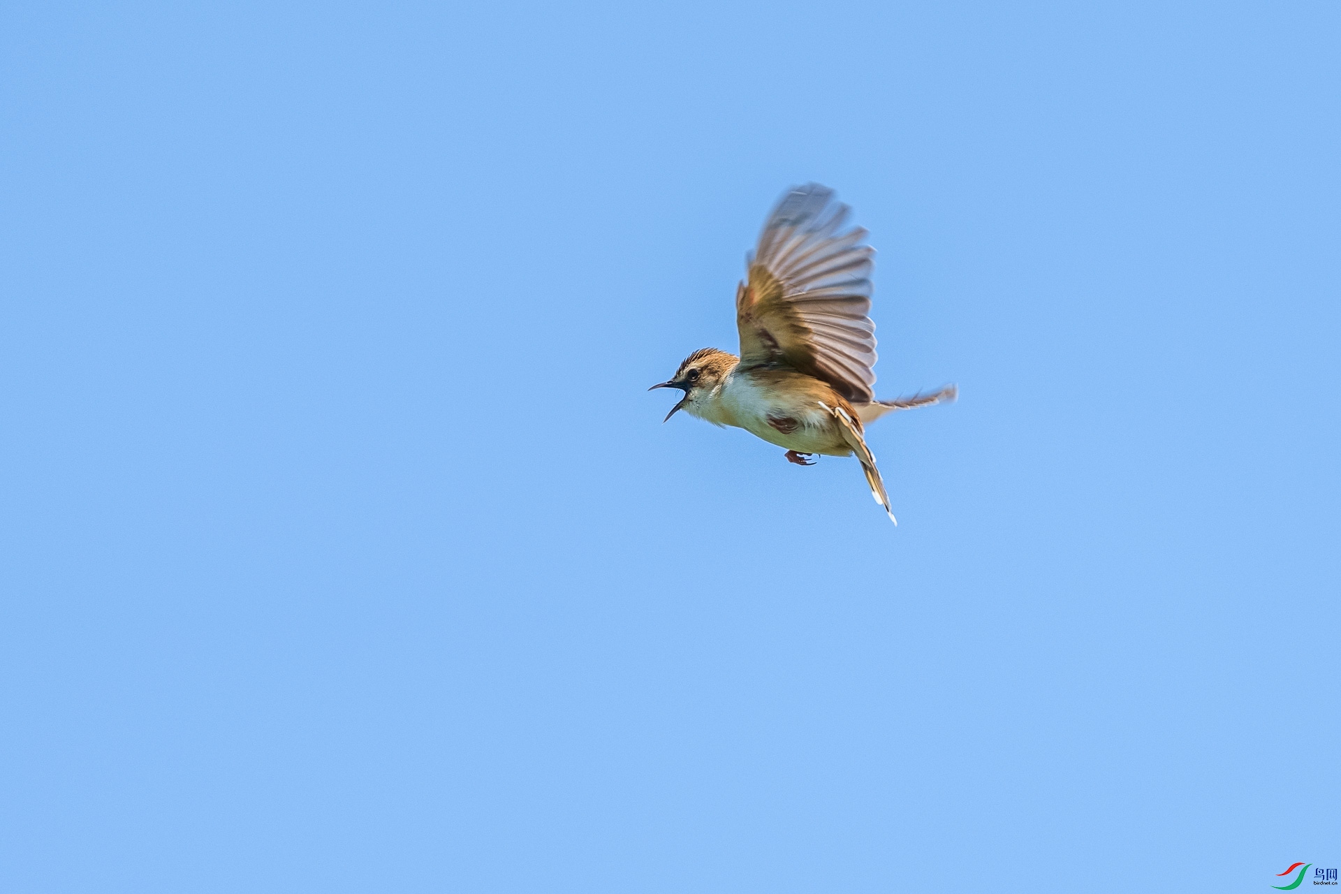 _DSC7256.jpg