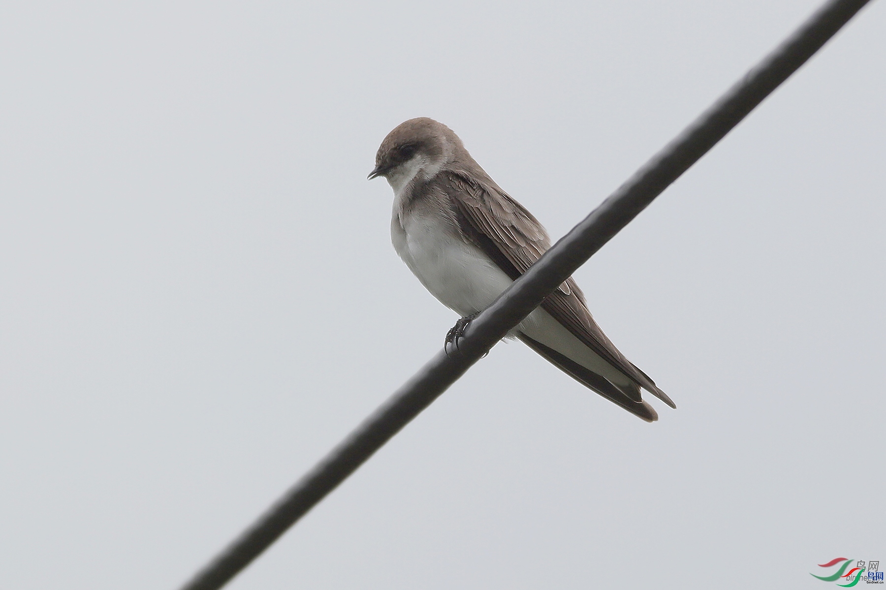 �����ҷ�  ��ʦ�������Ĵ�ʡ������������.jpg