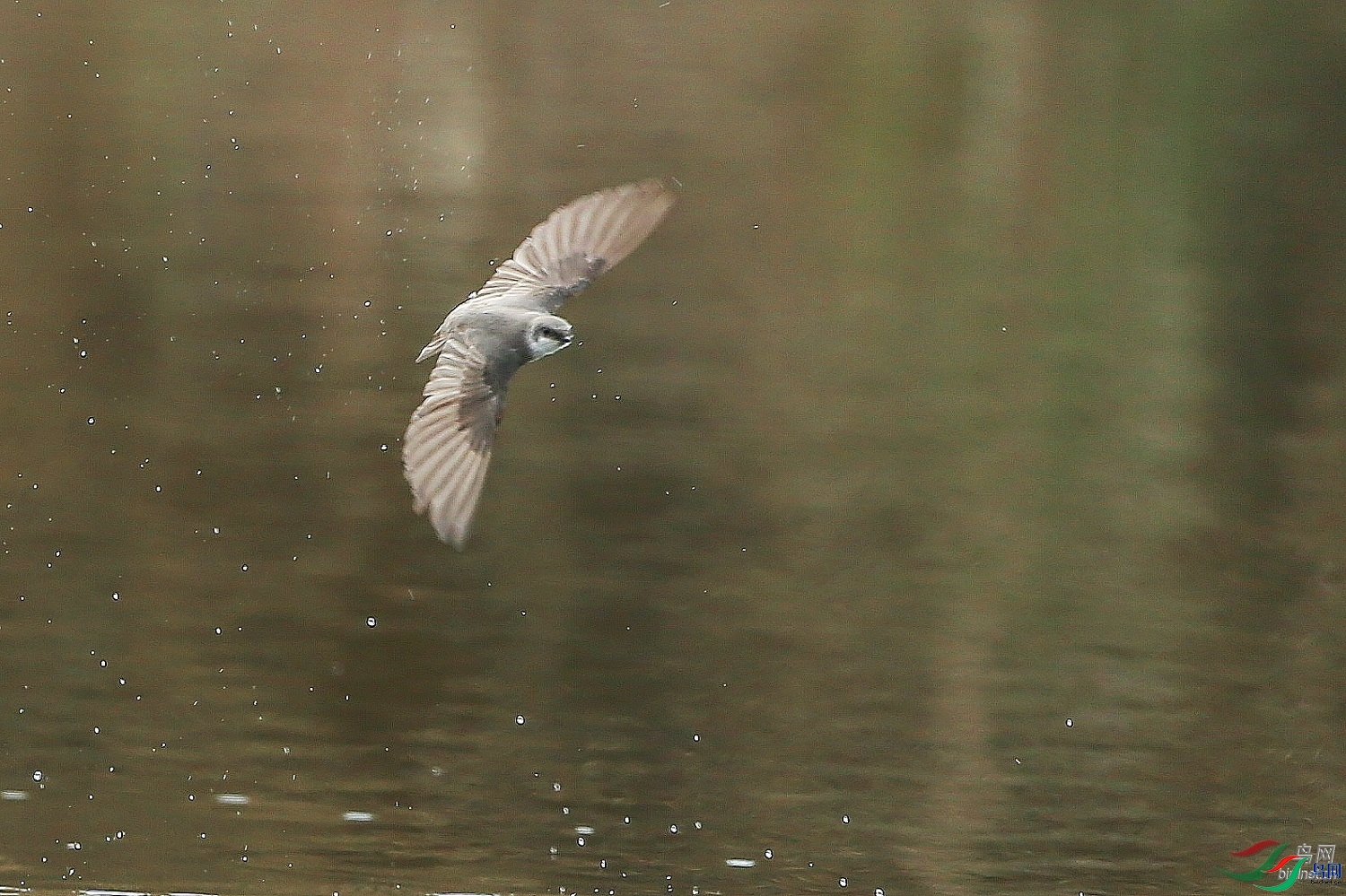 ��������  ��ʦ�����ڸ���ʡ��ƽ��0.jpg