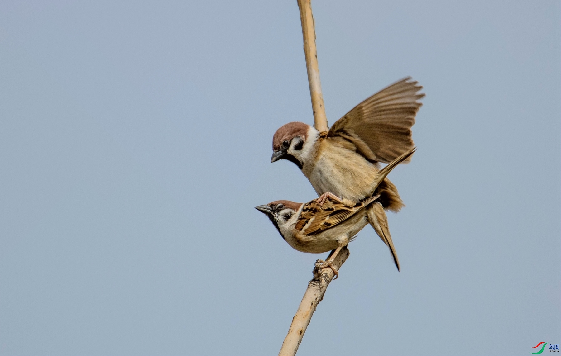 ��ȸ���� (2).jpg