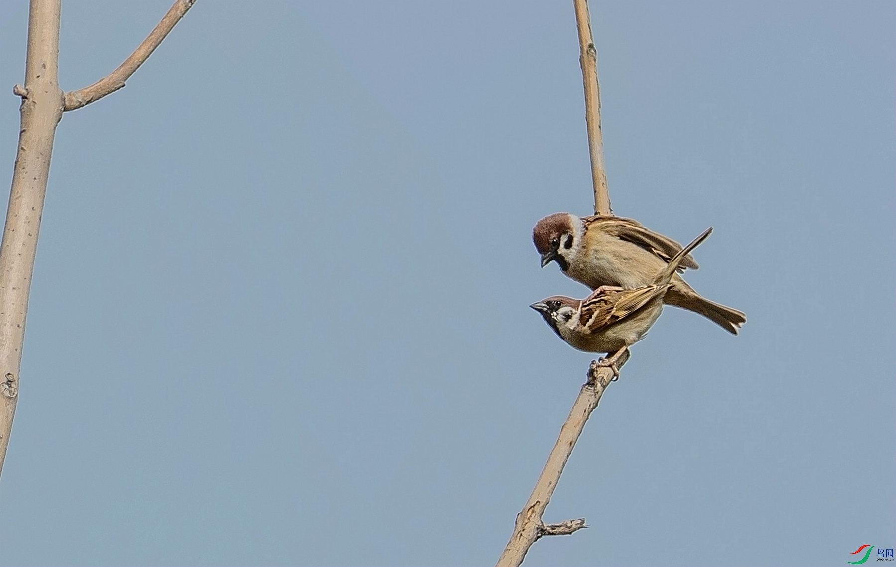 ��ȸ���� (3).jpg