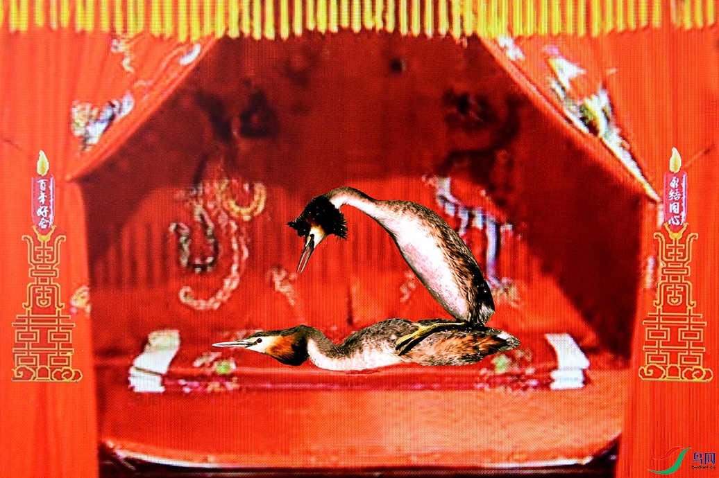 5.��������ҹ-��ͷ9417AM.jpg