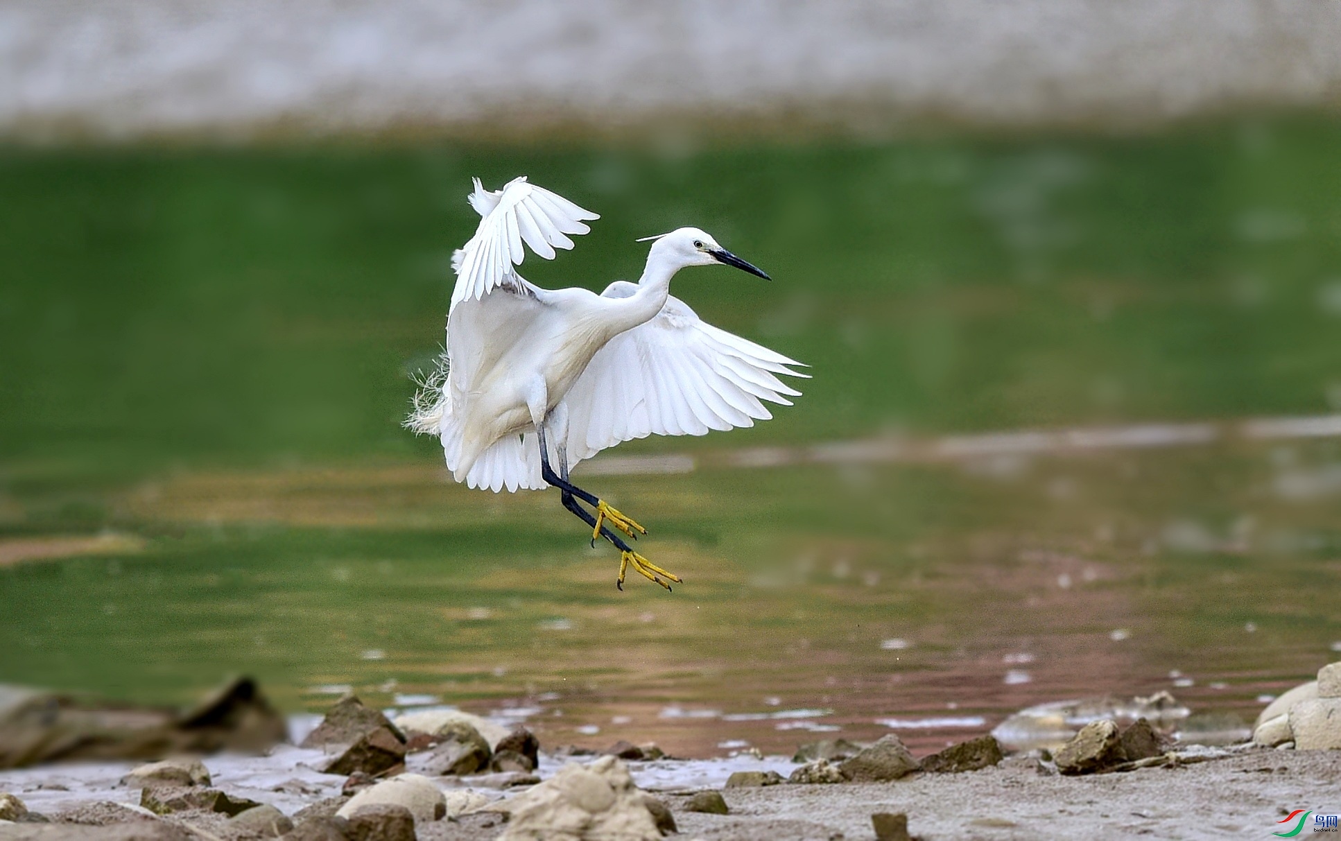 DSC_9683_conew7.jpg
