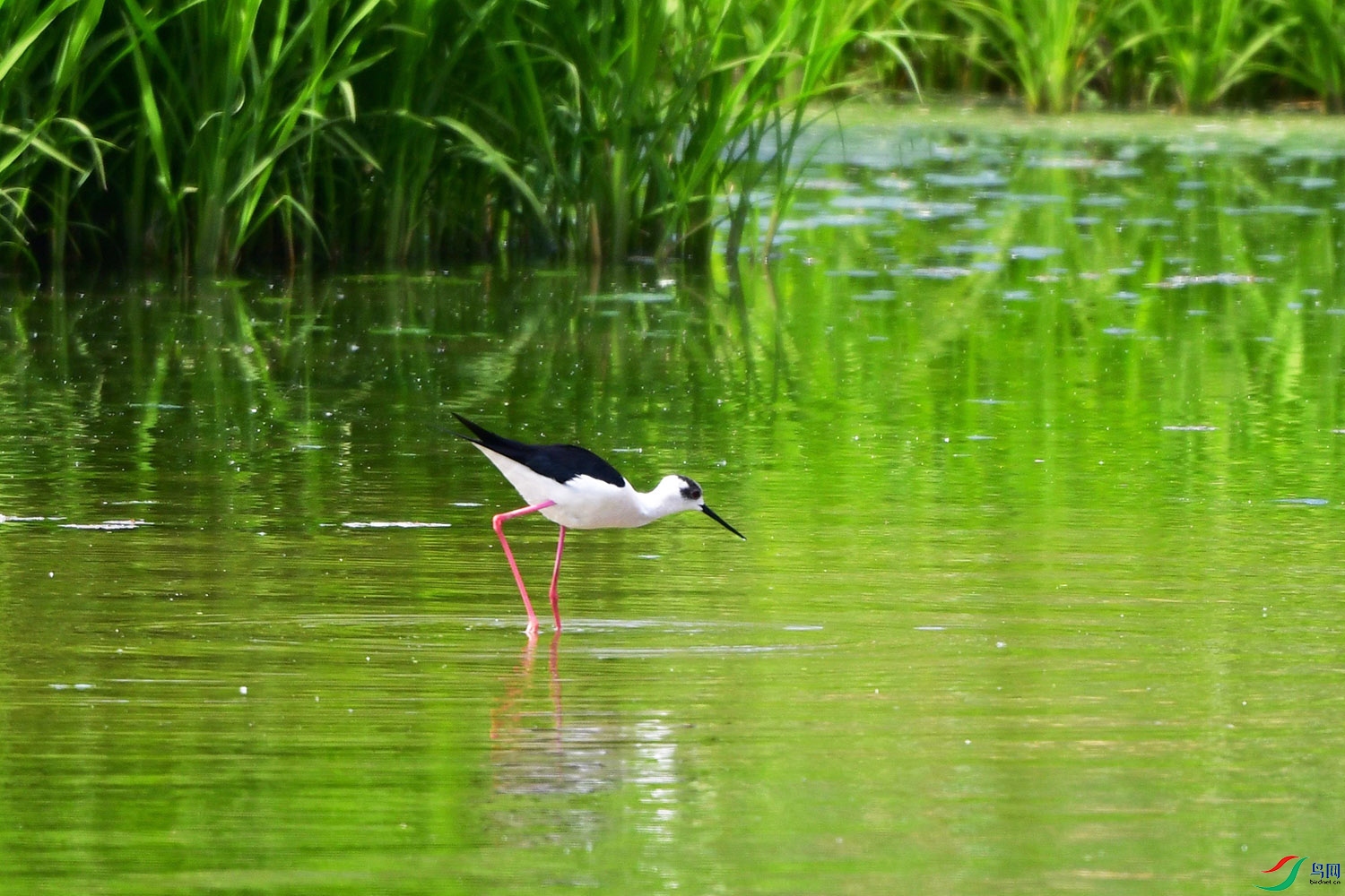 DSC_5552.jpg