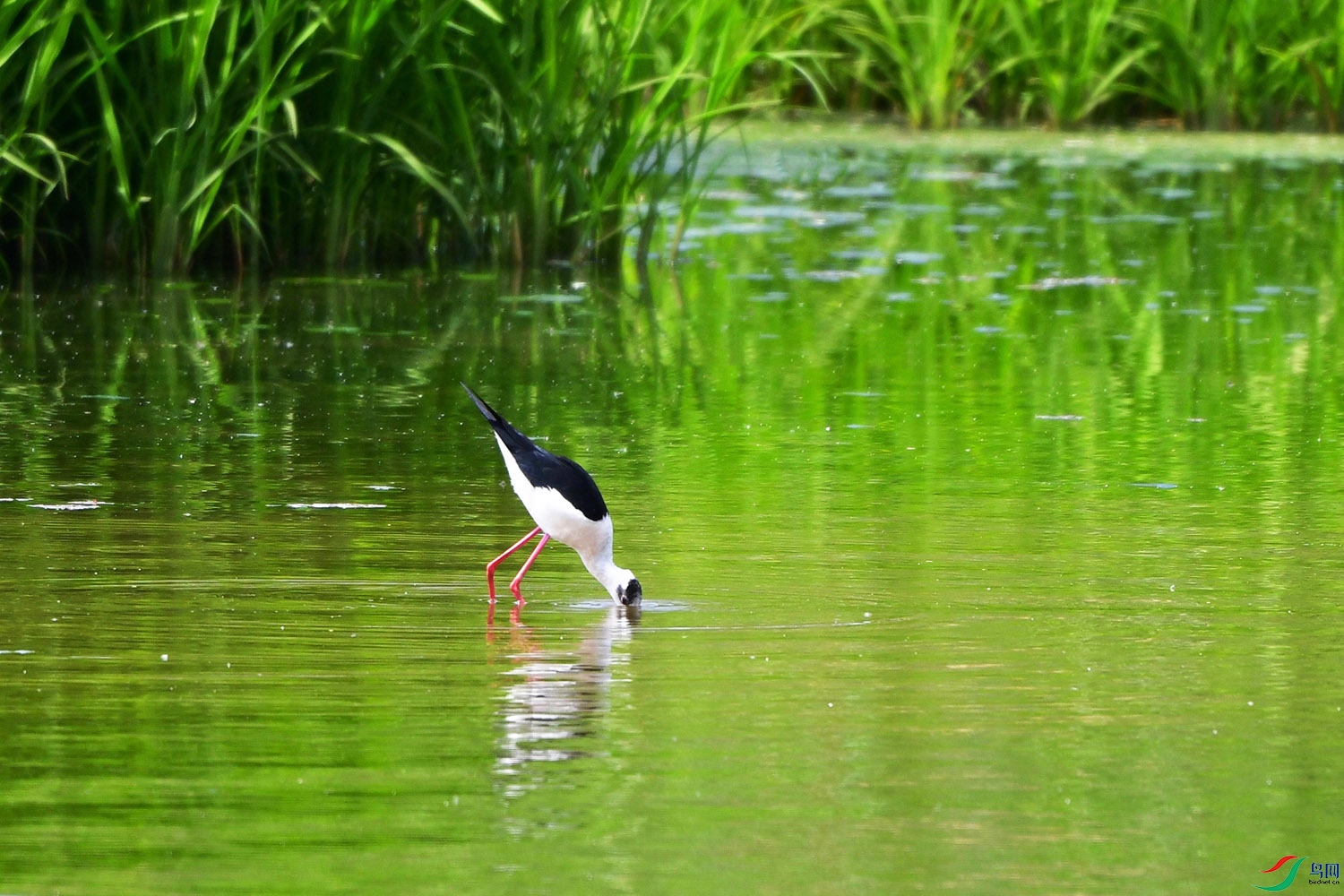 DSC_5553.jpg