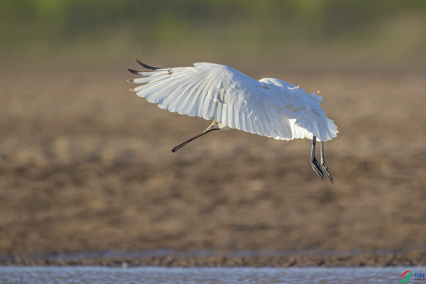 ����������ˮ