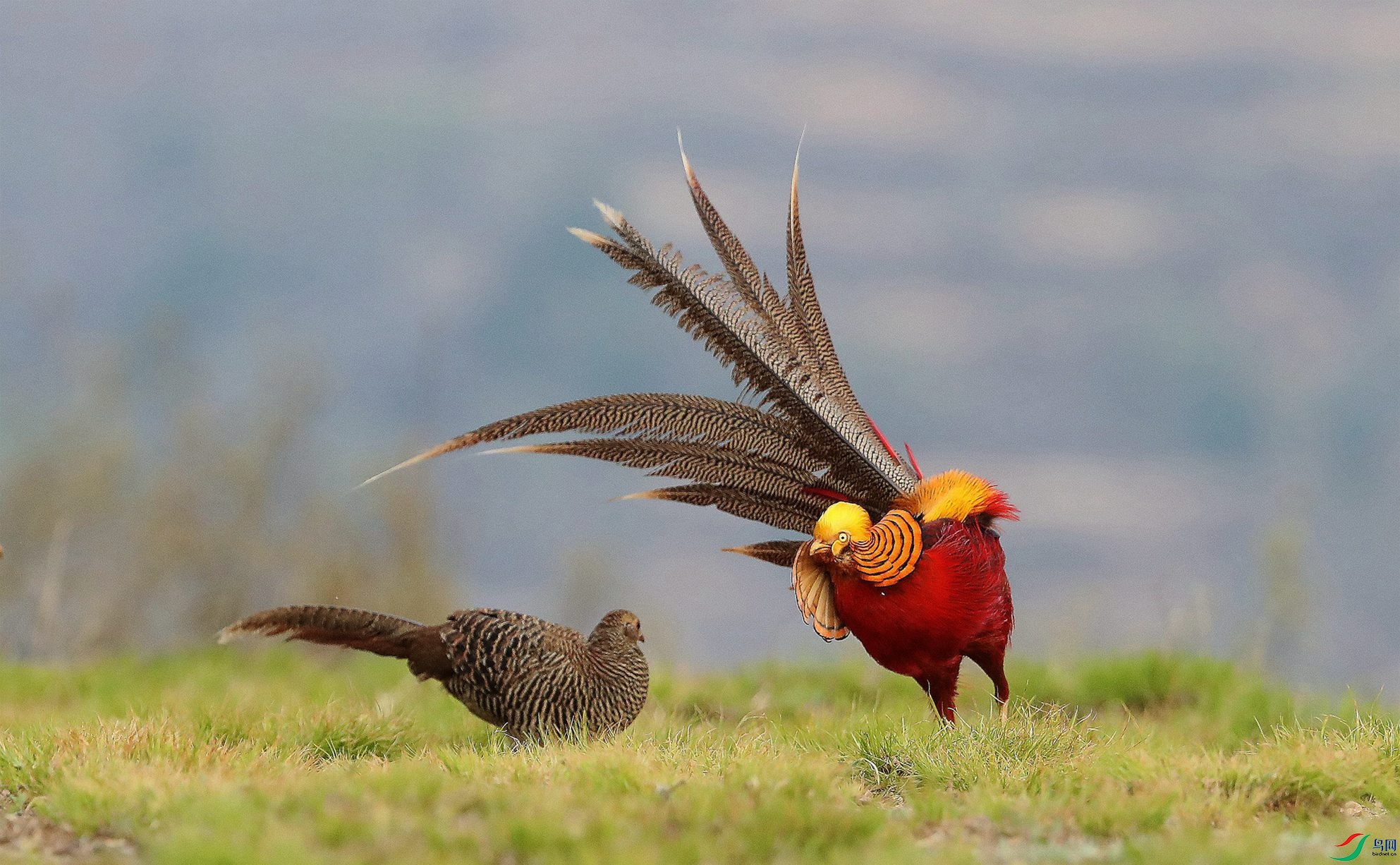 CF2I2614_���� (1)_����.jpg