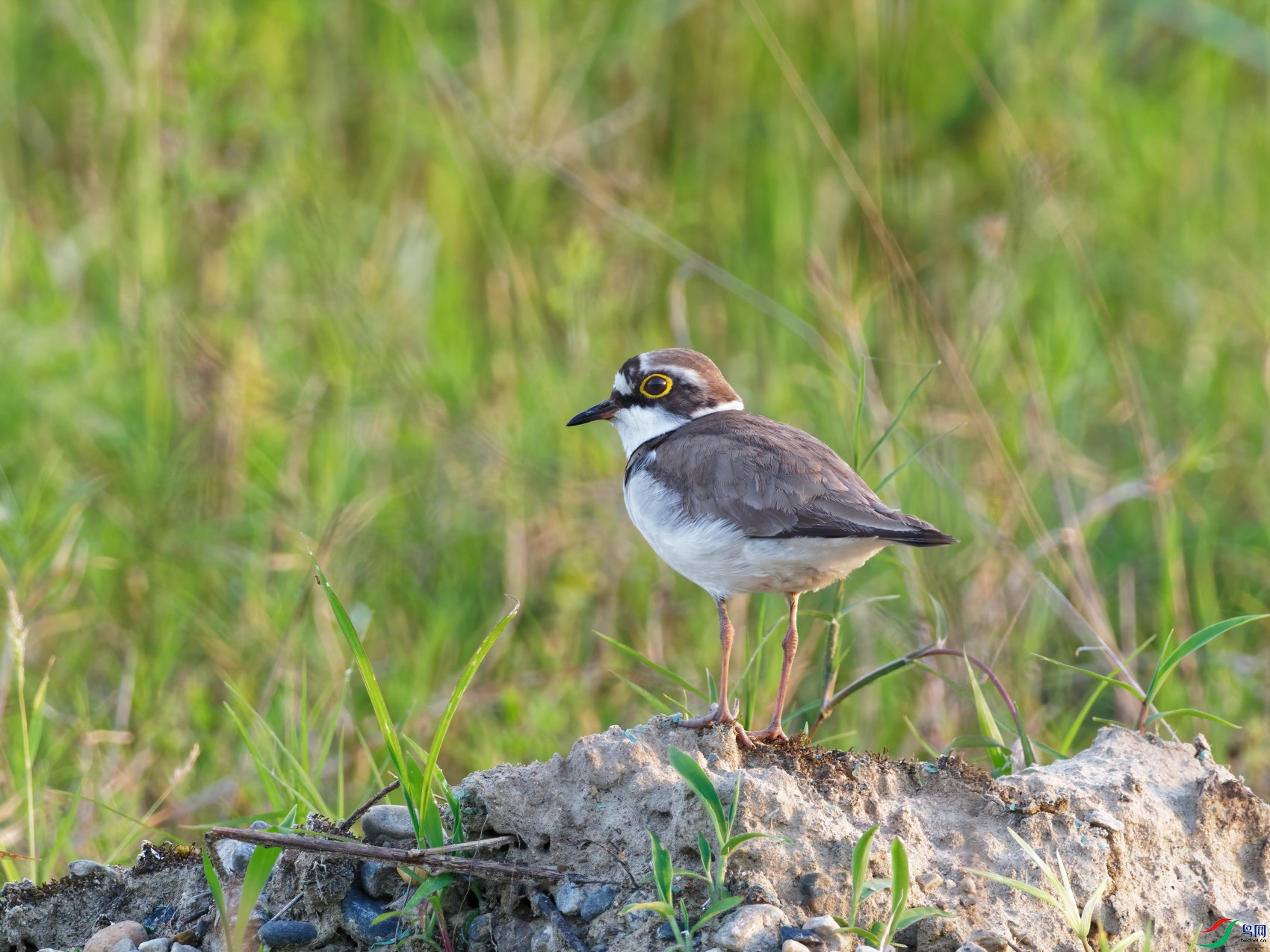 P5090009_DxO-d2.jpg