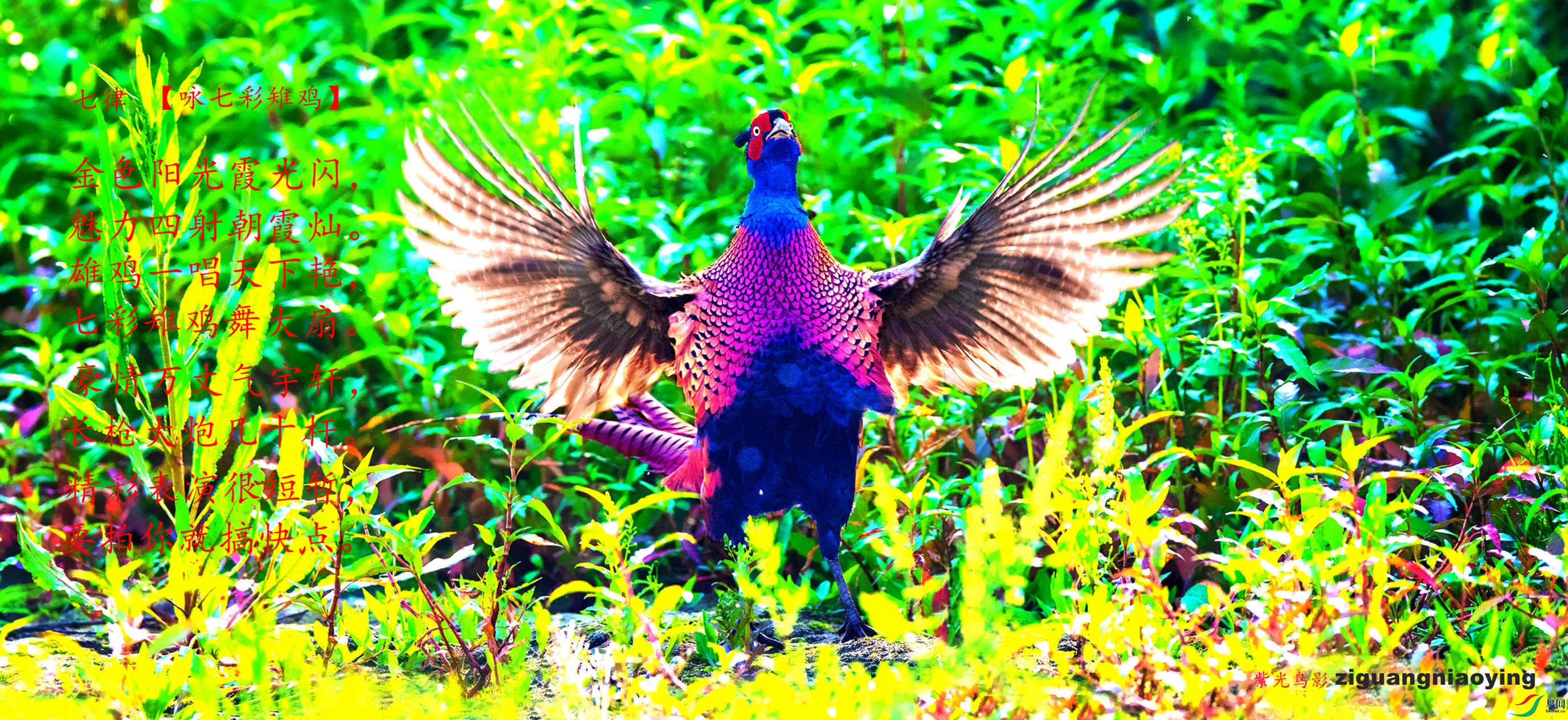 AGG_3692_����_����_����.jpg