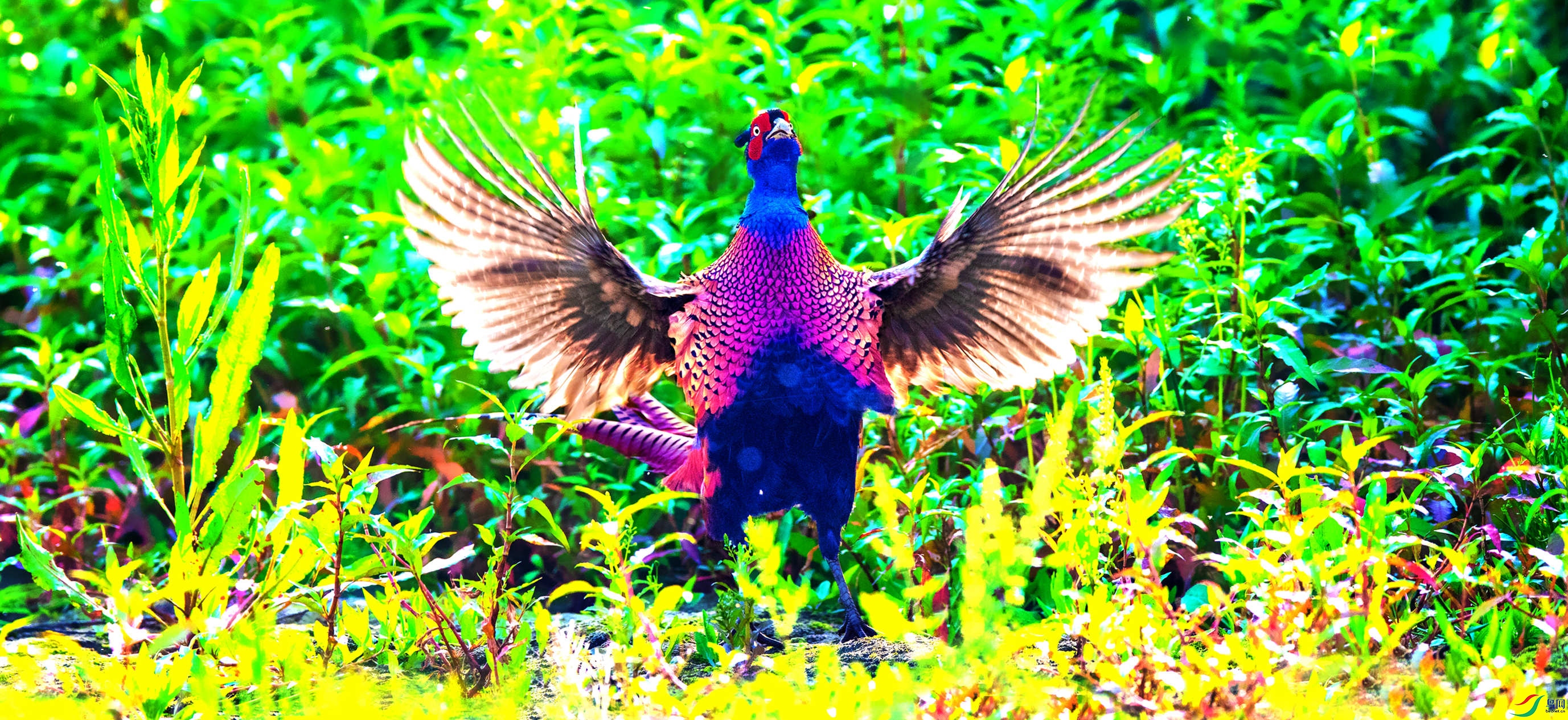 AGG_3692_����.jpg