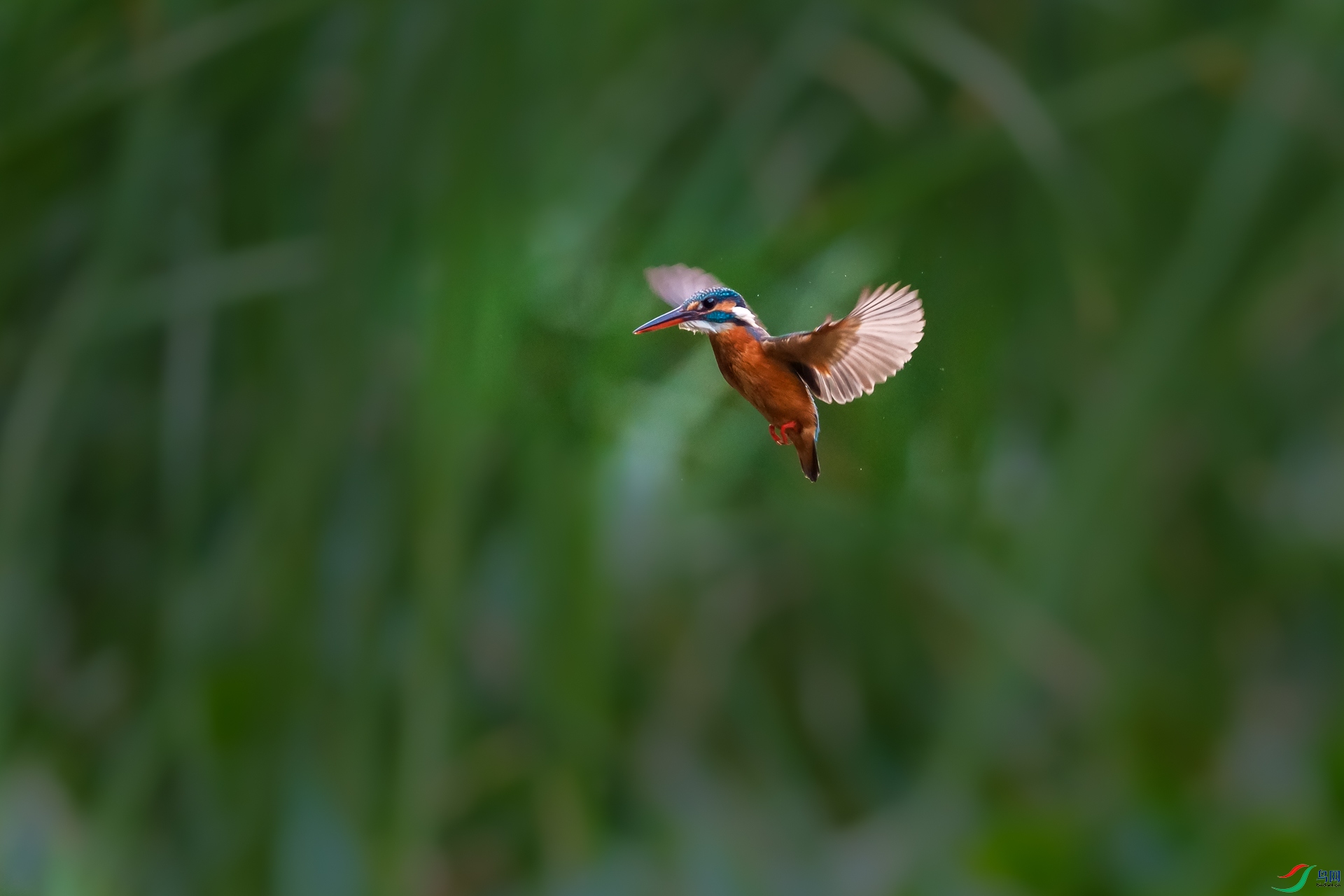 _DSC8305.jpg