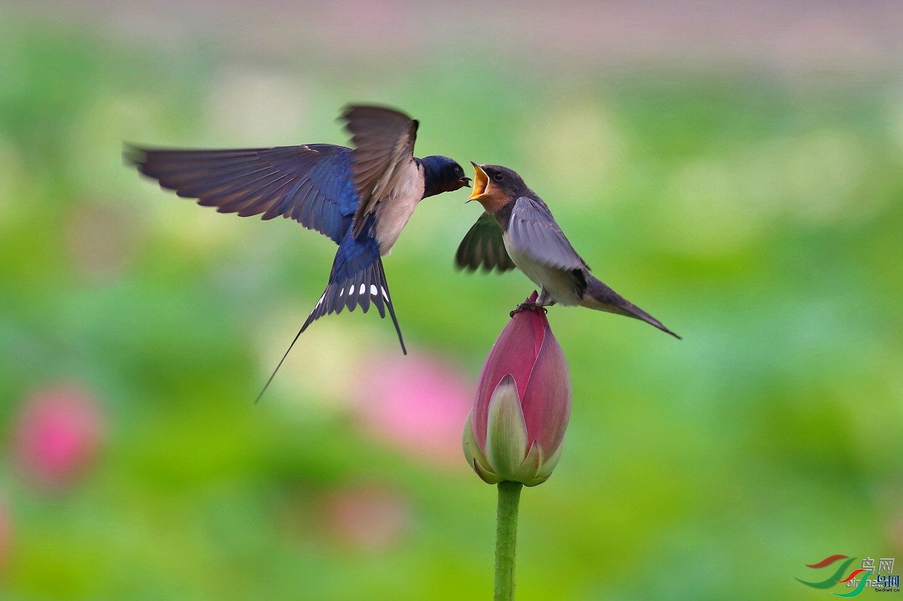 ��������  ��ʦ�����ڱ����к�����.jpg