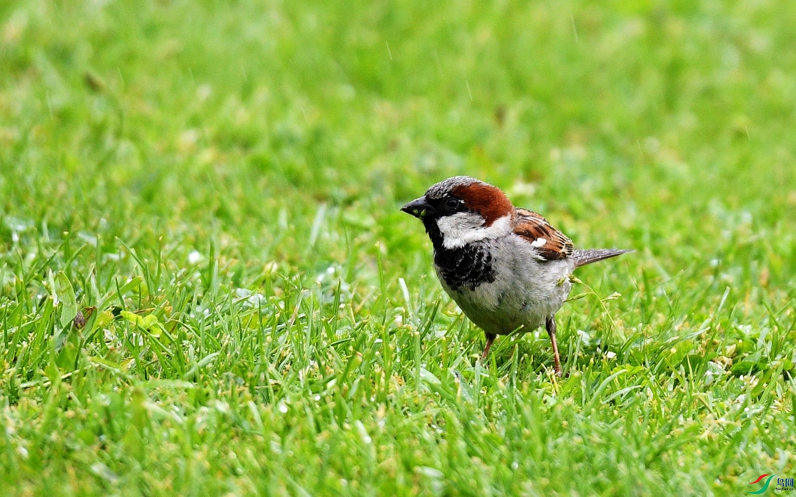 DSC_0181_���� (����).jpg