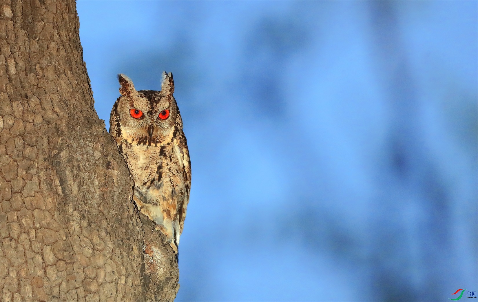 4 - ����.JPG