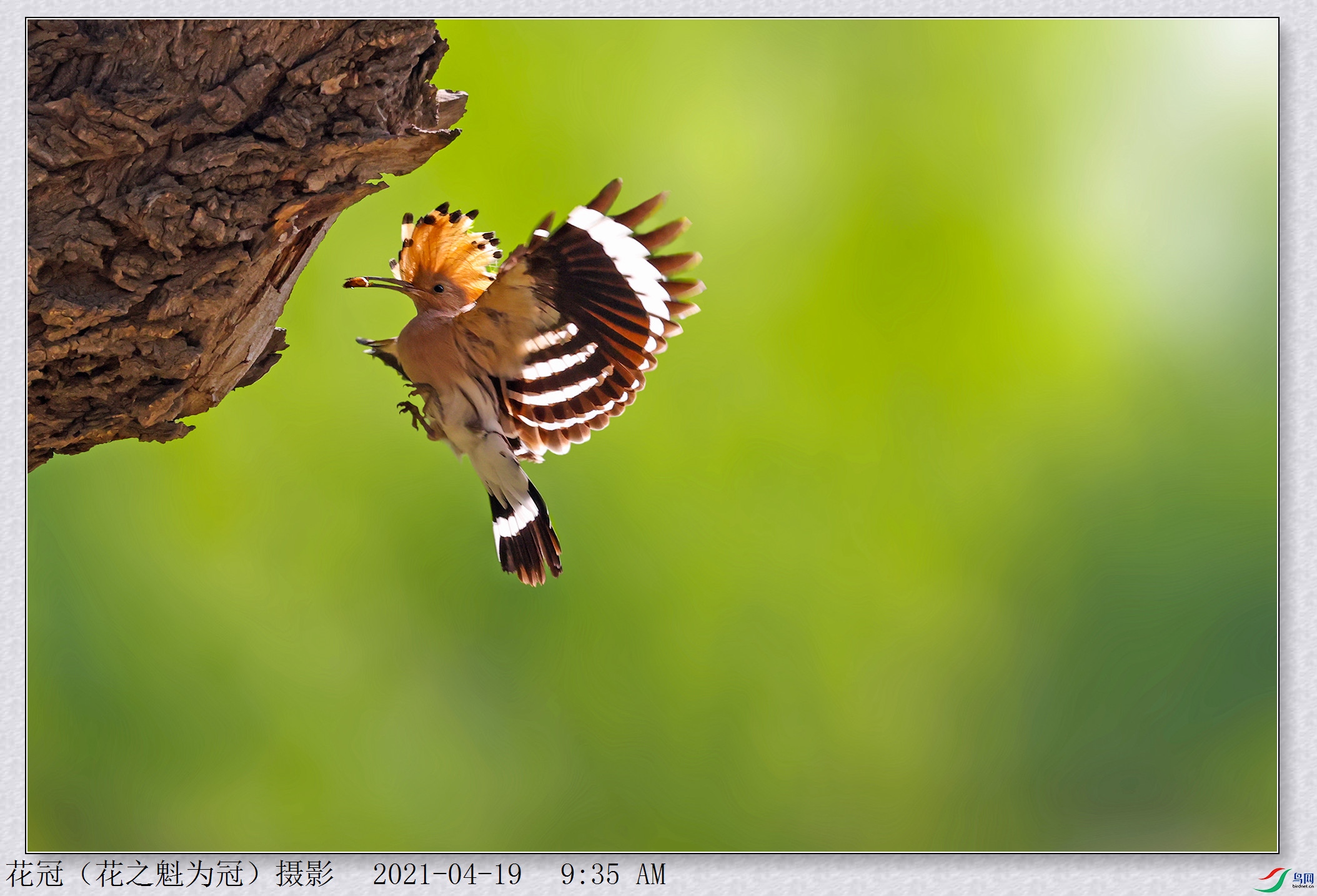 AH4I4444B-2_����.jpg