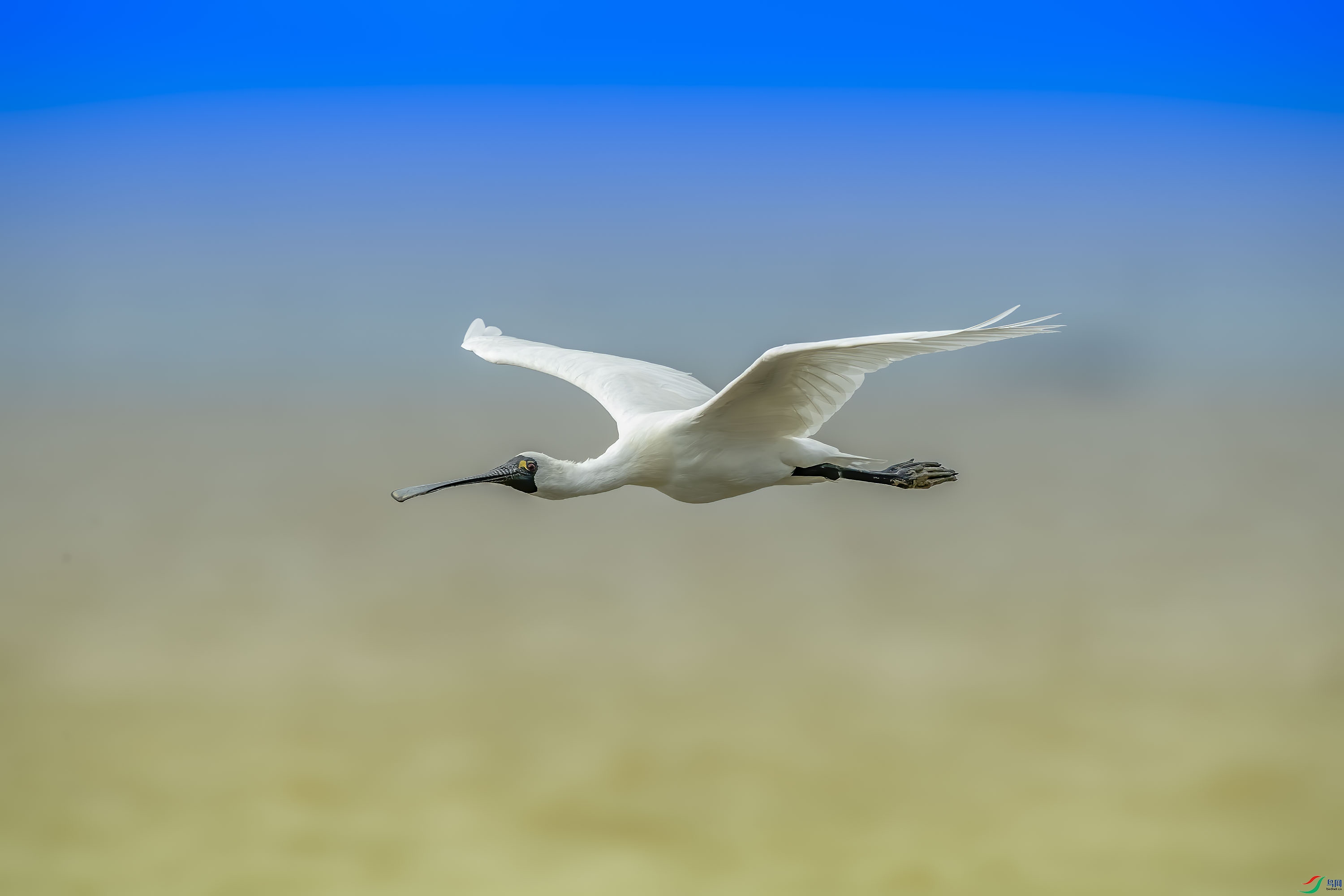 DSC_4261.jpg