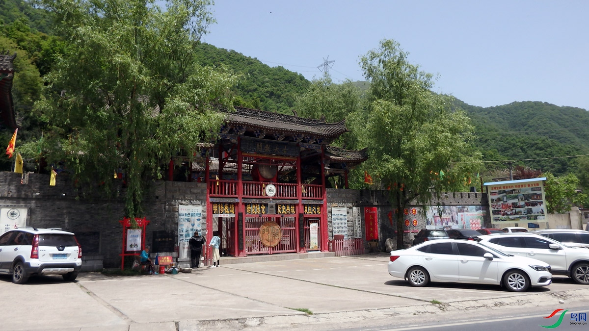 P5050673.jpg