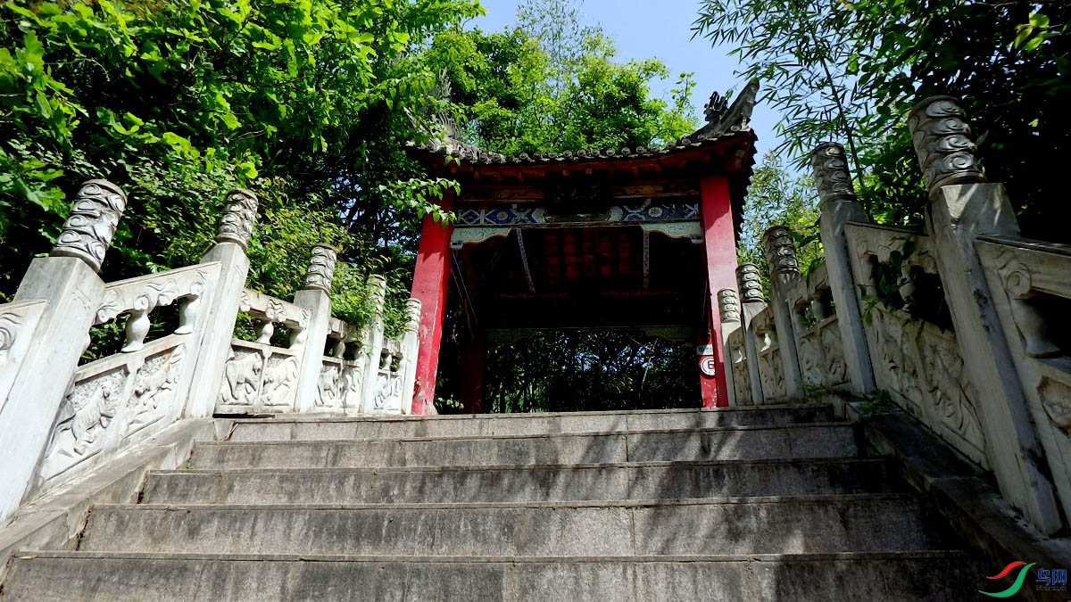 P5050652.jpg