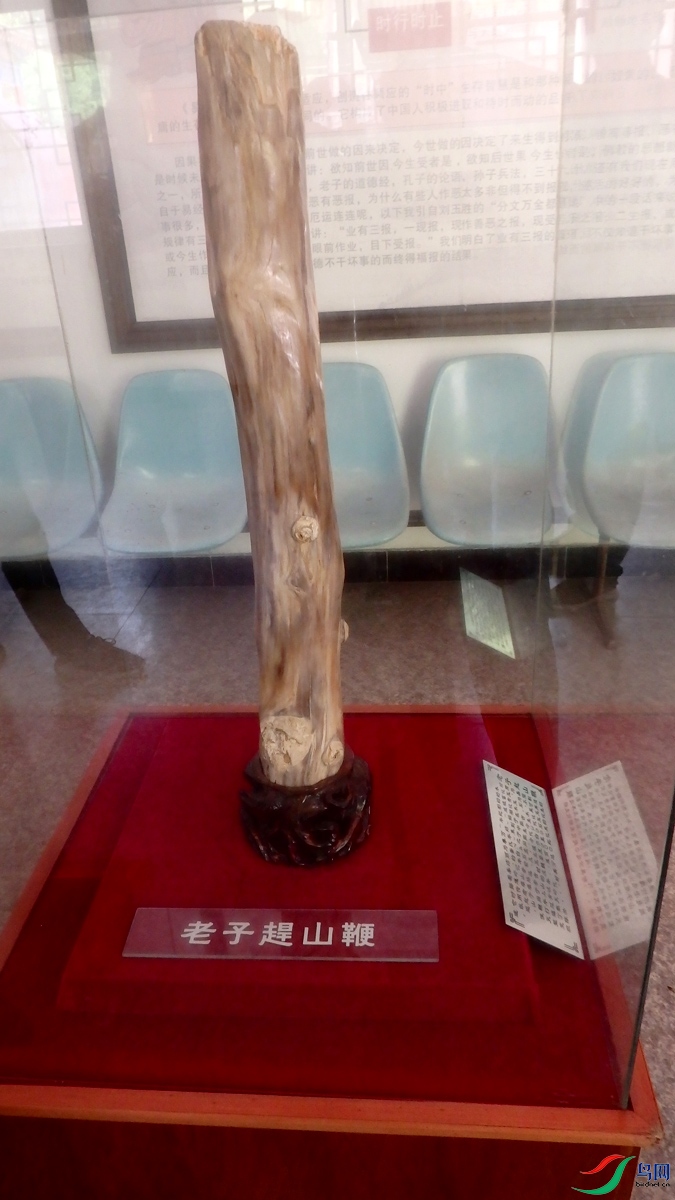 P5050643.jpg