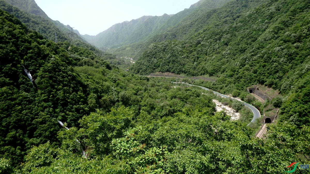 P5050664.jpg