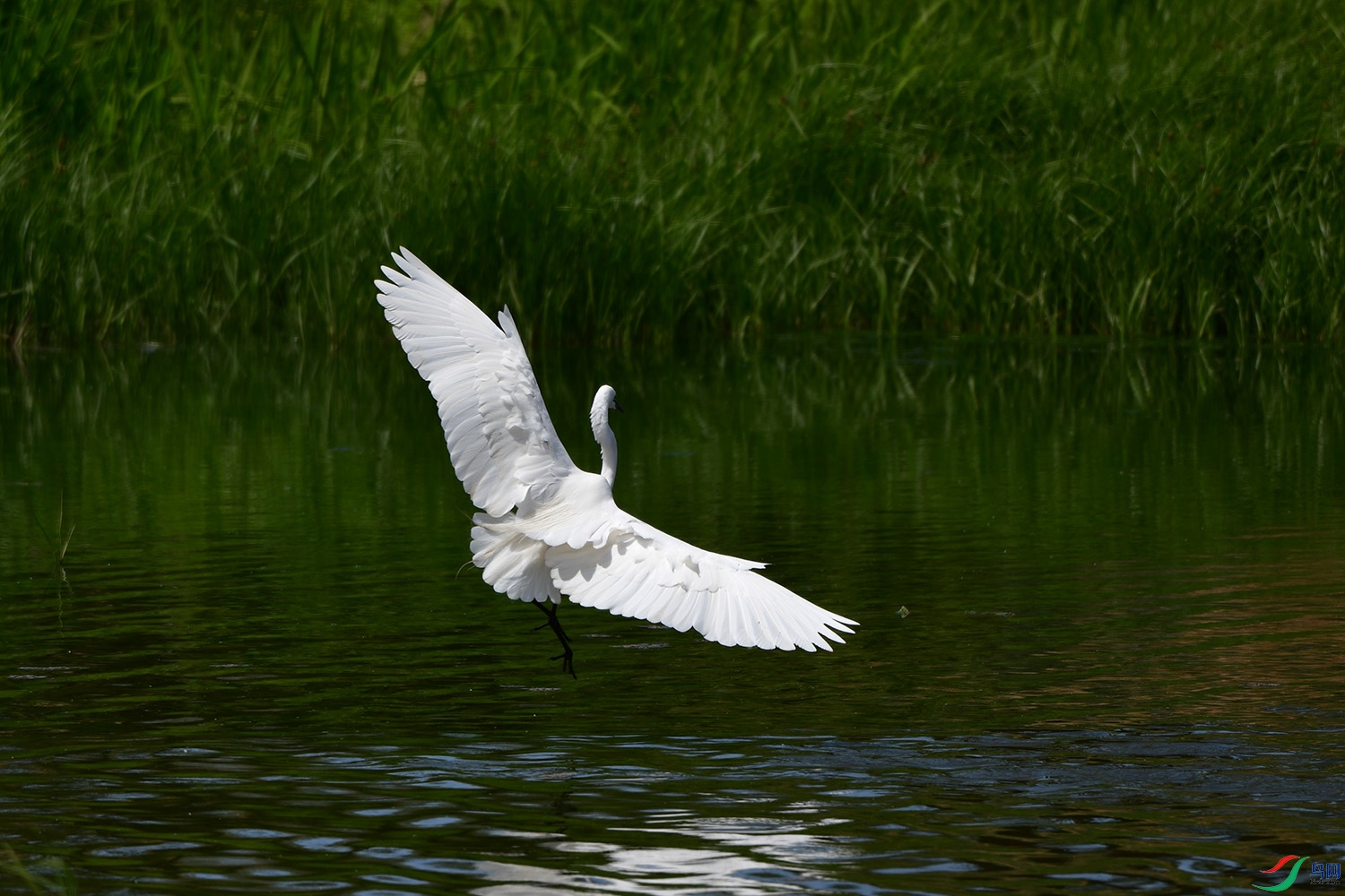 DSC_5885.jpg