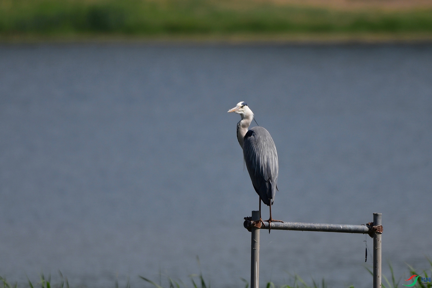 DSC_6817.jpg