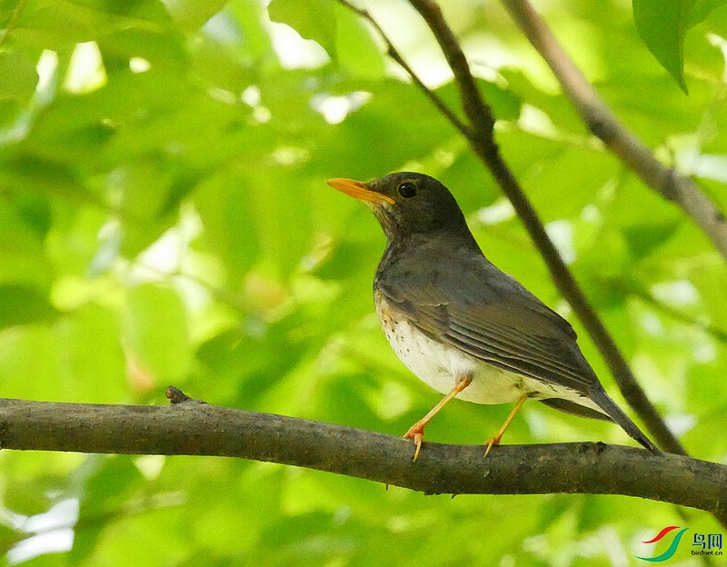 P6660658 - ����.JPG