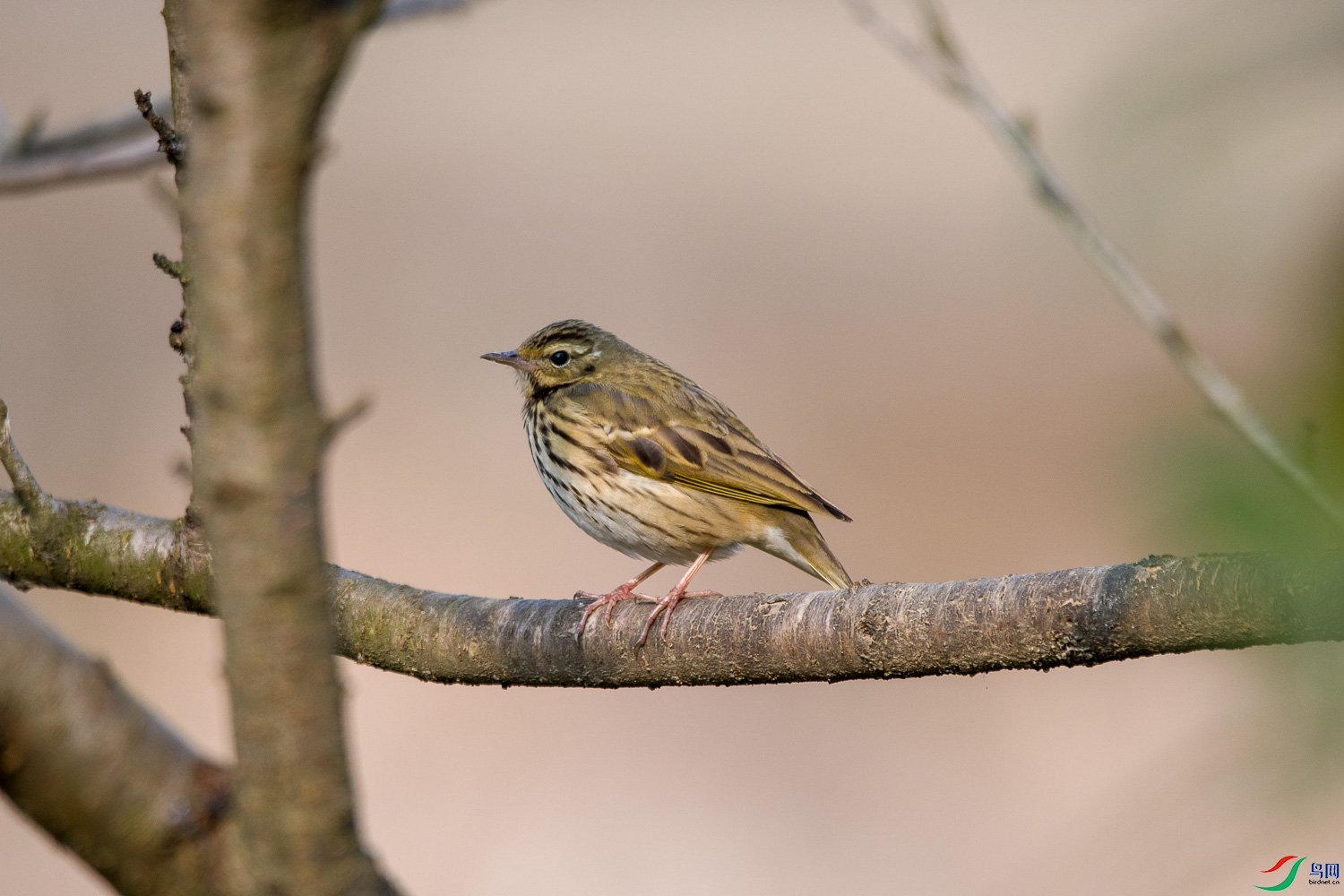 DSC_2635.jpg