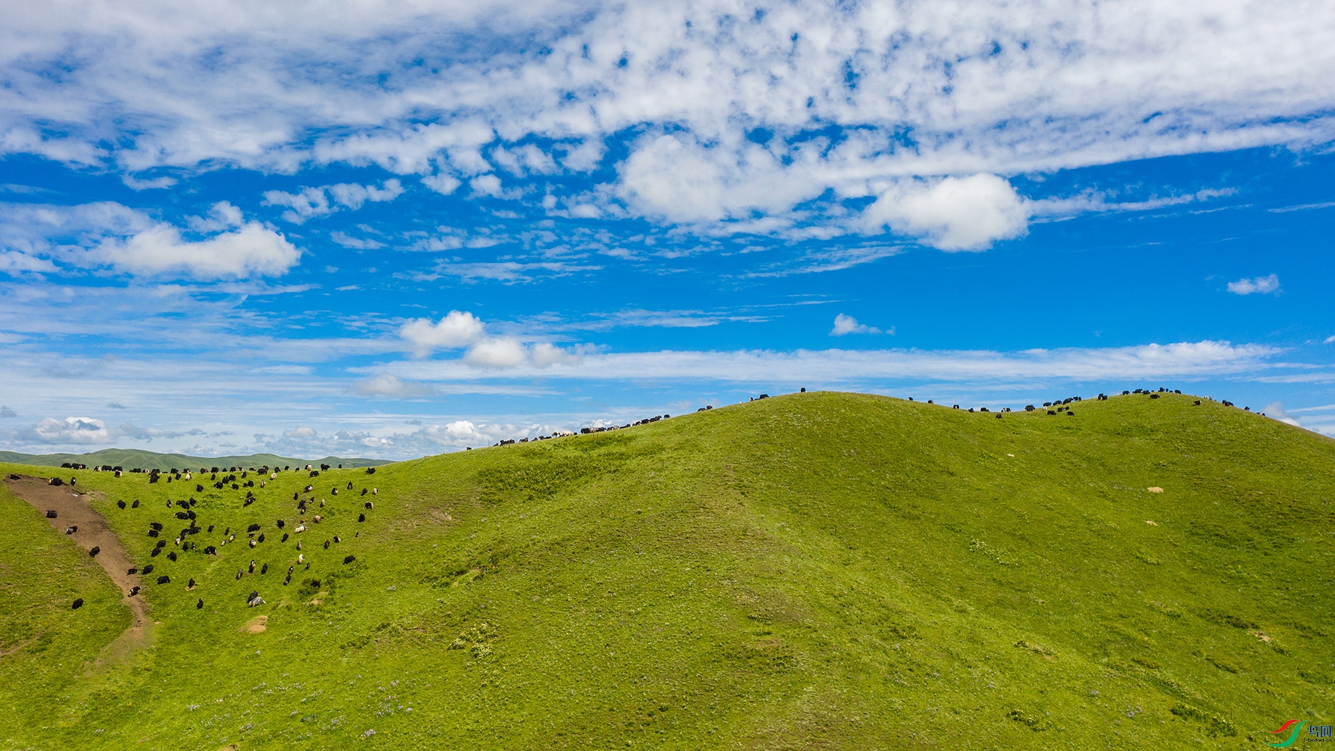 DJI_0756.jpg