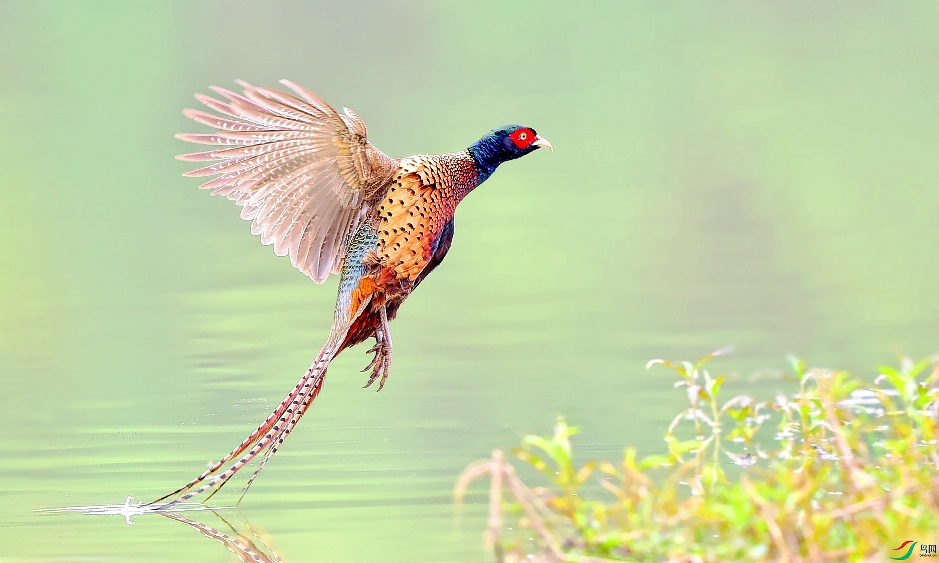 DSC_0166_conew2.jpg
