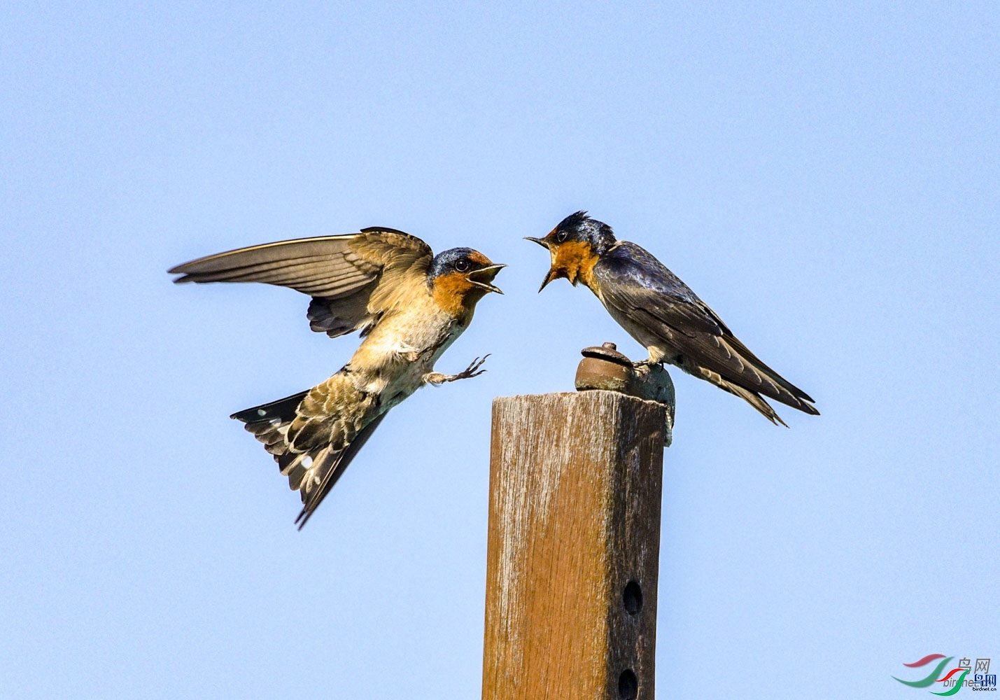 ����  ��ʦ��������������.jpg