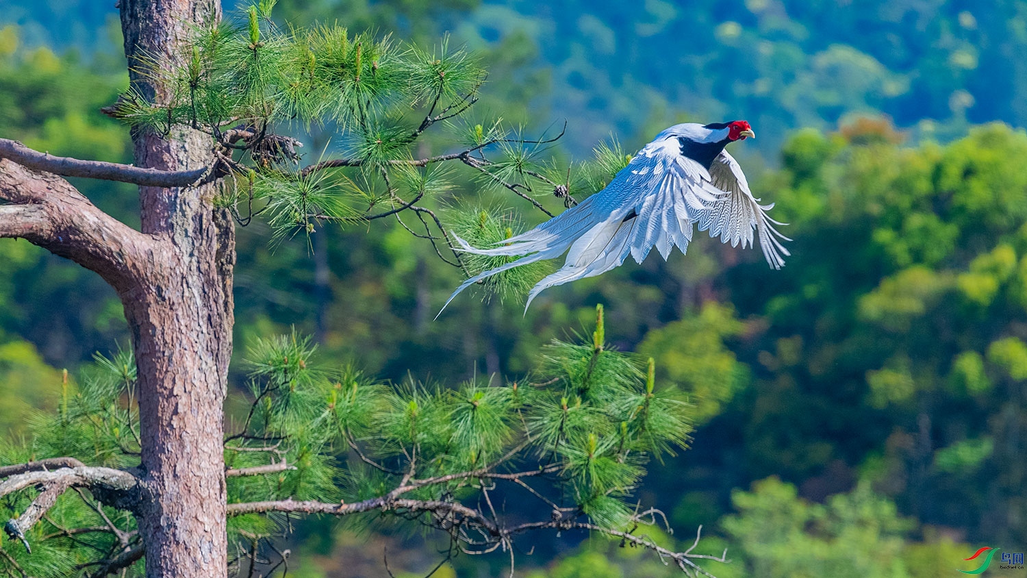 DSC_6312-2.jpg