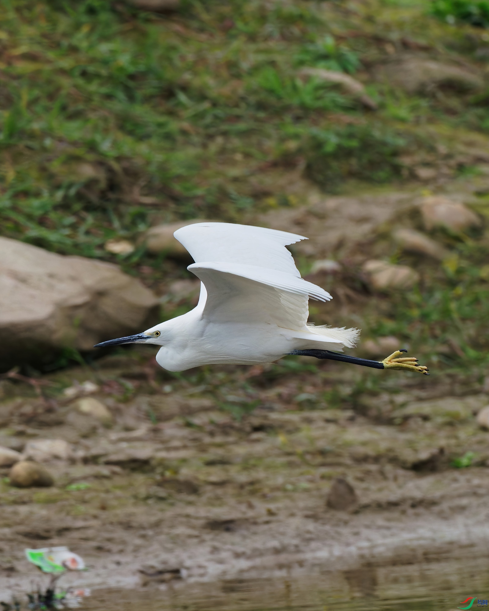 PC120202_DxO-d2.jpg