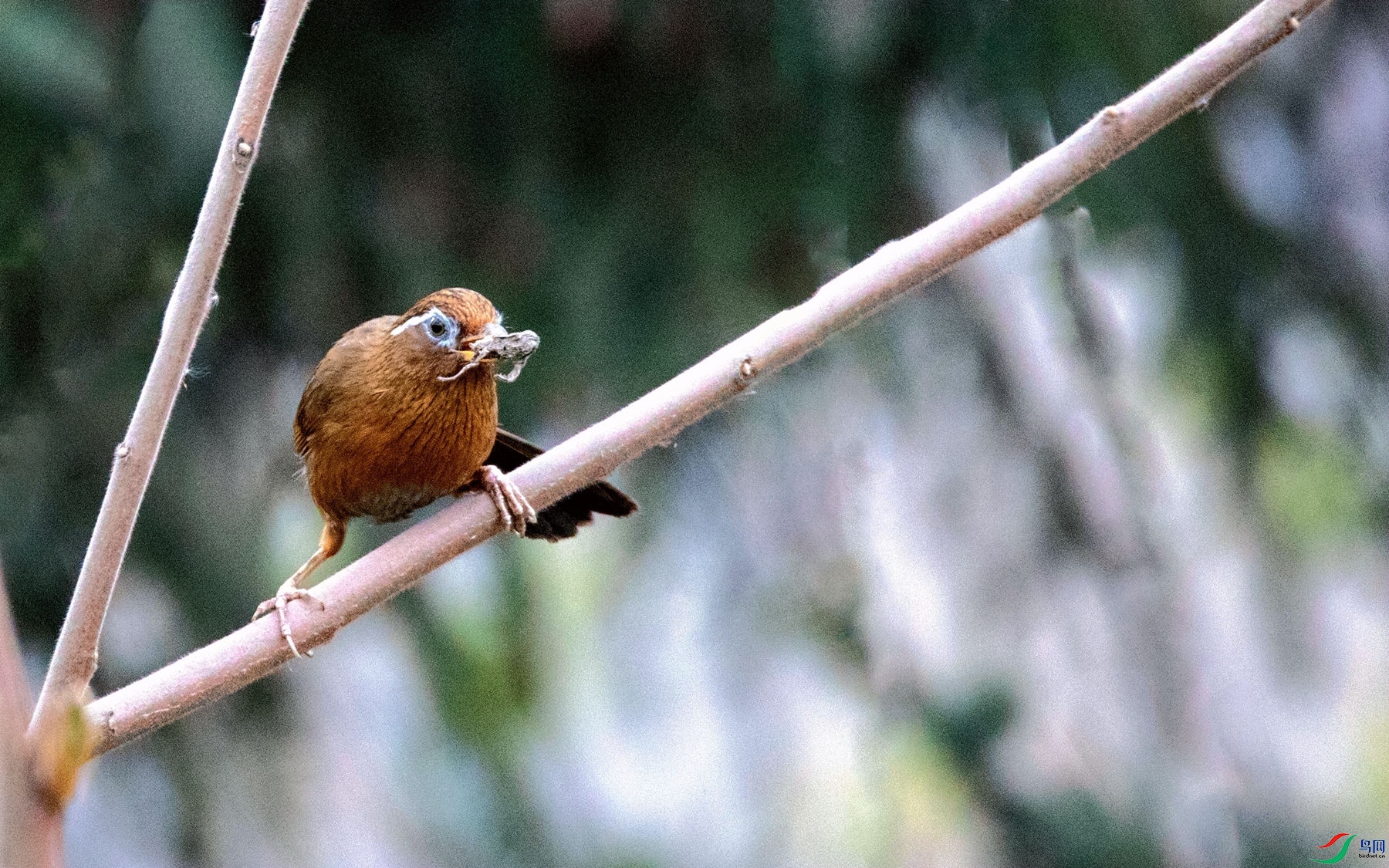 ˼��֮�� (3).jpg