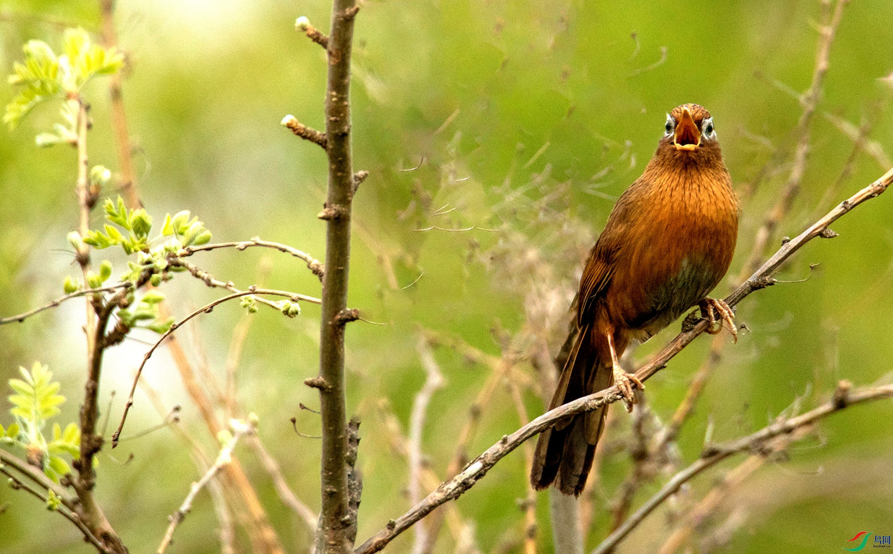 ˼��֮�� (2).jpg