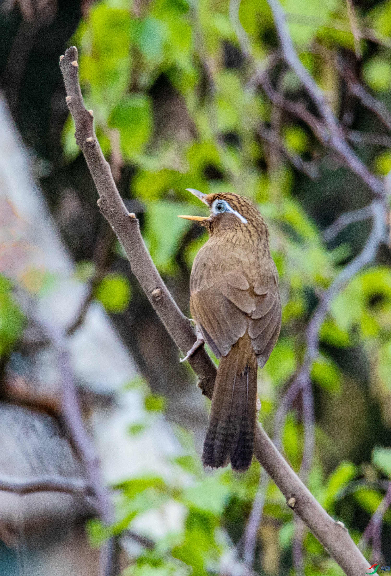 ˼��֮�� (5).jpg