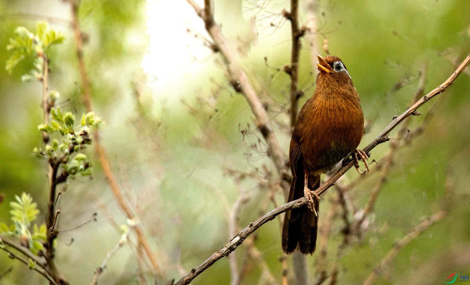 ˼��֮�� (4).jpg